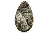 Septarian Dragon Egg Geode - Sparkly Black Crystals #378947-1